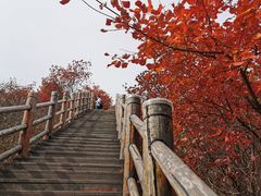 -黄花溪