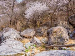 -妙峰山风景名胜区