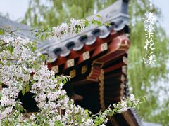 -元大都城垣遗址公园