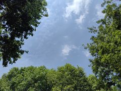 -柳莺湖上·湖景餐厅·江南菜(西湖店)