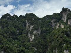 -王顺山国家森林公园