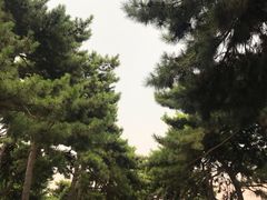 -钓鱼台国宾馆