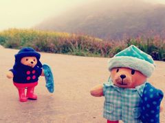 android_upload_pic-广州市石门国家森林公园