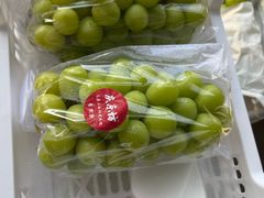 -马陆小张葡萄园农家乐