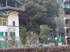 -衢州大荫山丛林飞越探险乐园