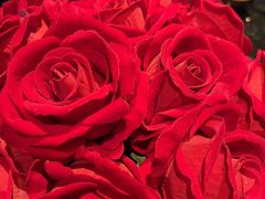 -华豫川酒家(双子塔店)