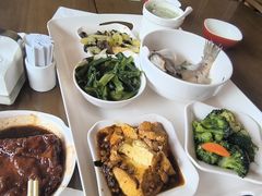 -泰康之家·申园