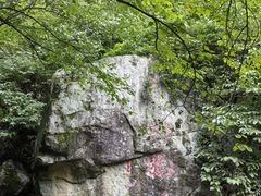 -青峰峡国家森林公园