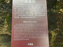 -白鹿洞书院