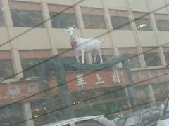 门面-羊上树(南门外店)