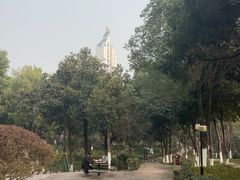 -大渡口区义渡公园