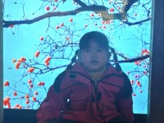 -中国湿地博物馆