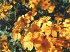 -优游吧斯邹族文化部落