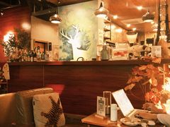 -咖法森林·咖啡  酒吧(天河店)