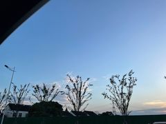 -大叔家福鼎小吃(十全街店)