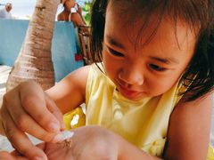 -中央格兰德岛温泉度假酒店 - 全包