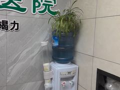 -半岛宠物医院24小时(白果林店)