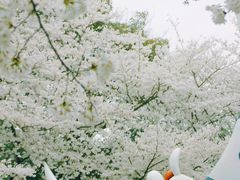 -杭州少年儿童公园