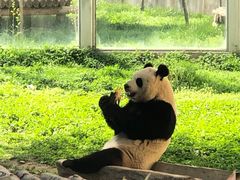 -西安秦岭野生动物园