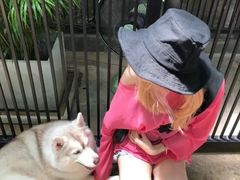 -TrueLove @ Neverland (Husky Cafe)