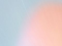 -树夏(建设路店)