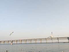 -黑石礁公园
