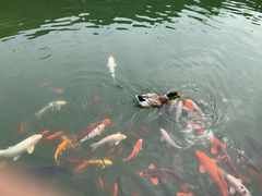 -白马涧龙池景区