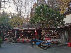 -青城甲(青城山店)