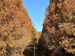-捞渔河湿地公园