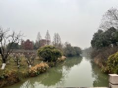 -西溪国家湿地公园