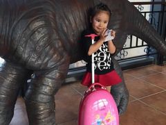 -常州环球恐龙城维景国际大酒店