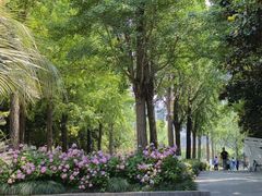 -苏州河梦清园环保主题公园