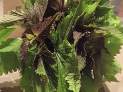 -平川·程玉平川菜工作室