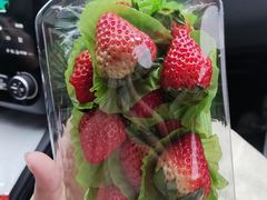 -百果园PAGODA(中铭豪园店)