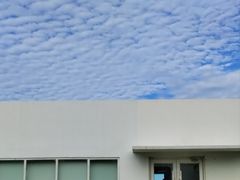 -海岛日记(养马岛店)