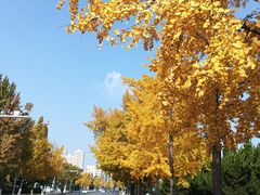 -大连人民广场