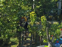 -大连森林动物园