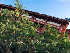 -西安华清御汤酒店