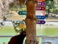 -水上乐园·欢乐世界