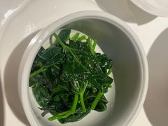 -西郊5号·Maggie 5