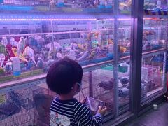 -花鸟鱼虫鲜花绿植市场(玉泉路店)