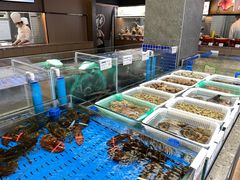 水产区-船歌·鱼水饺青岛菜(闽江二路店)