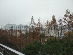 -外高桥保税区南(地铁站)