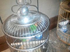 android_upload_pic-蜀记火锅(南街店)