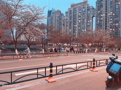 -西北湖绿化广场