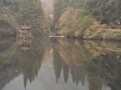 -宁海安岚·南溪阁全日餐厅