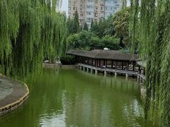 -团结湖公园