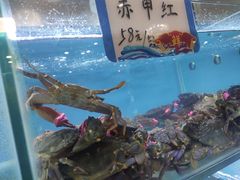 -抹直口特色菜馆(一店)