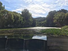 -紫海香堤香草艺术庄园