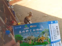 -西安秦岭野生动物园